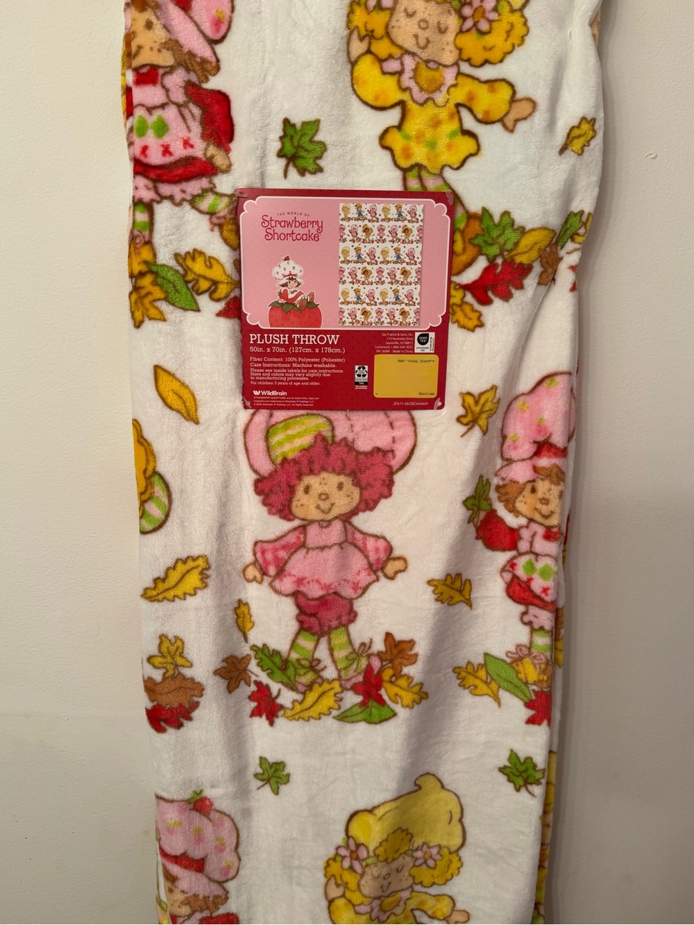 Strawberry Shortcake & Friends Autumn Fall Leaves Blanket